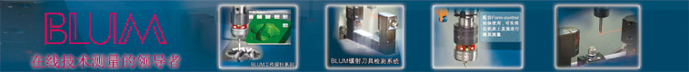 波龙