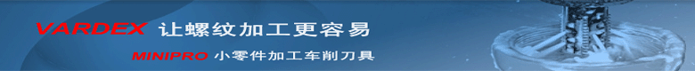 以色列瓦格斯