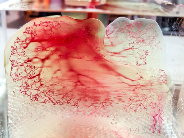 “使用打印到灌注过程创建的人体血管模型”(图片由United-Therapeutics提供).jpg