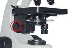 LIOO显微镜在高等院校的普及应用 