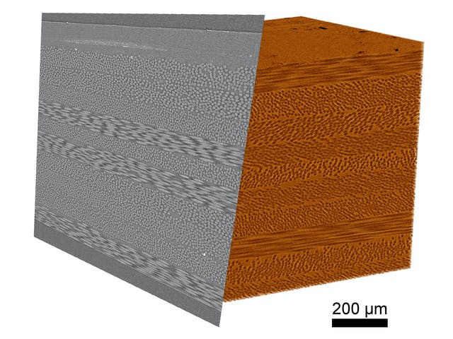 3D rendering and clipping plane of a composite sample with carbon and glass fibers