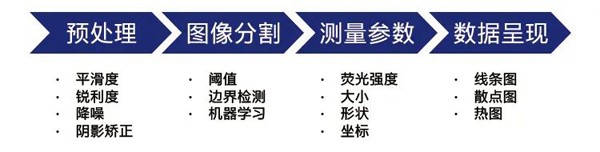 蔡司显微镜
